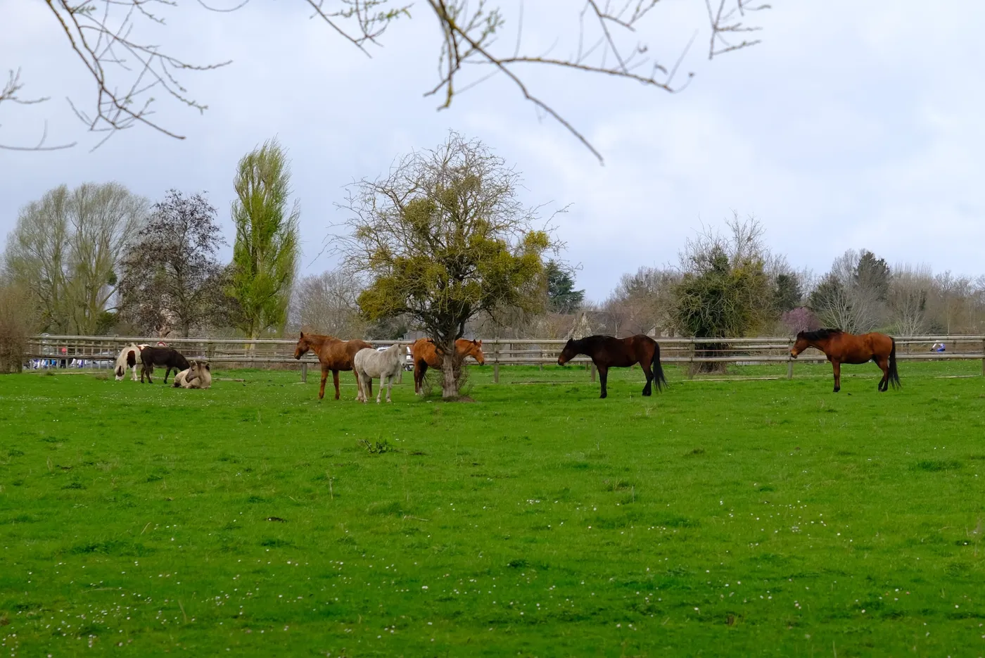 A la bonne herbe d'Herbeville