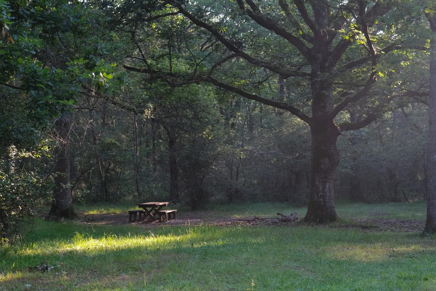 Top pour une pause pique-nique !